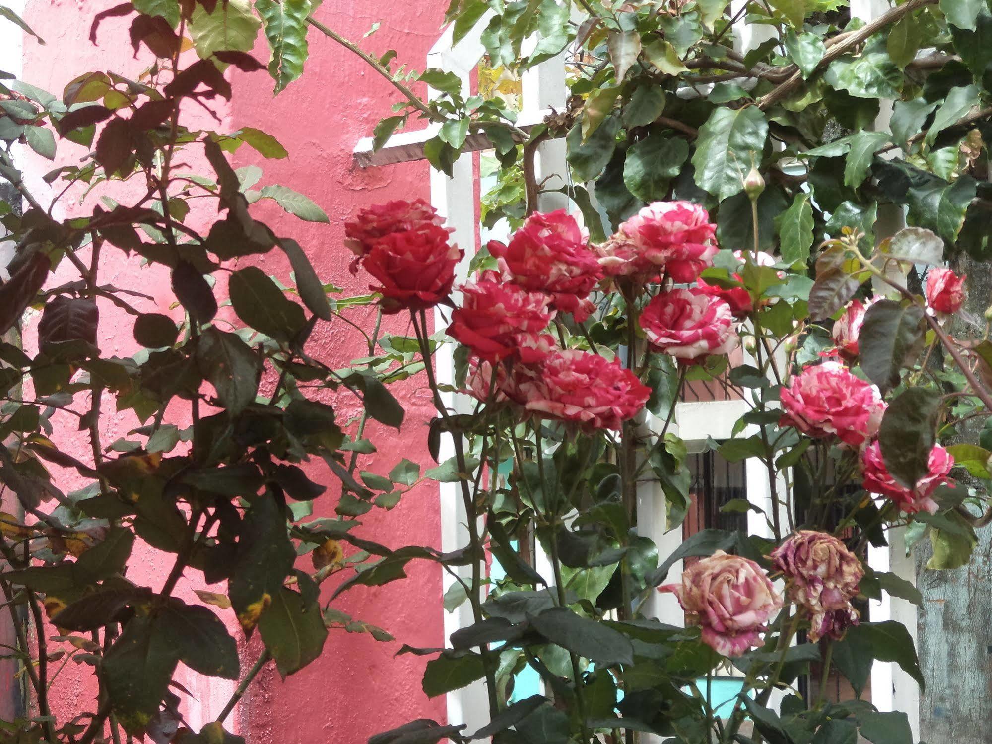 Hostal Imperial Quito Eksteriør bilde